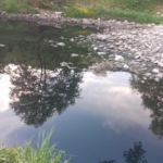 Gönen Çayı’nda ekolojik çöküş: Bilim insanlarından acil eylem çağrısı