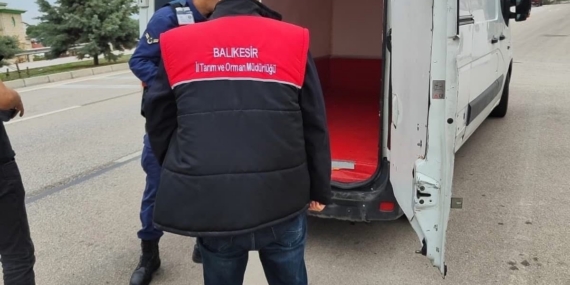 Gönen’de şap hastalığına karşı denetimler arttı