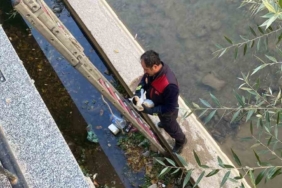 Gümüşhane’de çaya düşen yavru kediyi itfaiye ekipleri kurtardı