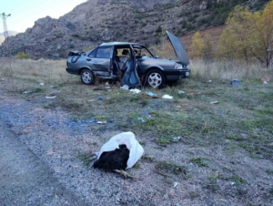 Gümüşhane’de iki araç çarpıştı: 4 yaralı