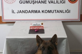 Gümüşhane’de uyuşturucu operasyonunda 2 şahıs yakalandı