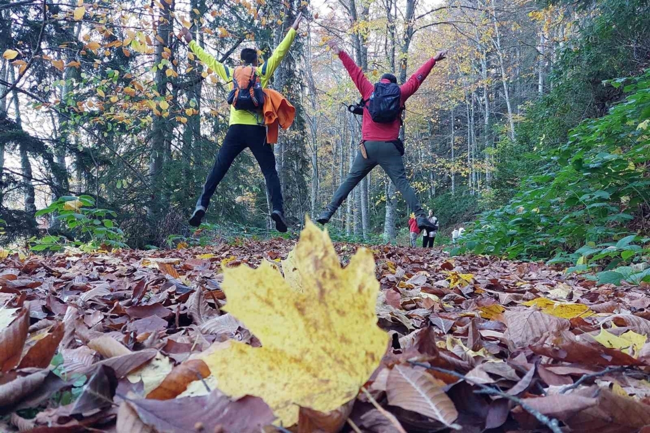 Gümüşhane’nin "Doğal Ağaç Müzesi" ziyaretçi akınına uğruyor