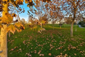 Güzelyurt sonbahar renklerine büründü