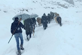 Hakkari’de dağda mahsur kalan sürü kurtarıldı