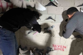 Hatay’da kuş kümesinden 2 kilo 500 gram uyuşturucu madde ve para çıktı