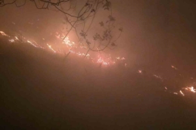 Hatay’da yıldırımın düştüğü ormanlık alanda yangın çıktı