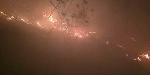 Hatay’da yıldırımın düştüğü ormanlık alanda yangın çıktı