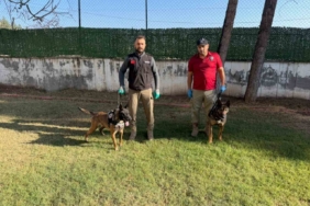 Hector ve Mailo, Batman’da uyuşturucu tacirlerinin korkulu rüyası oldu