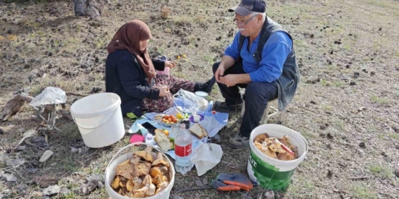 Hisarcık’ta yaşlı çiftin mantar mesaisi