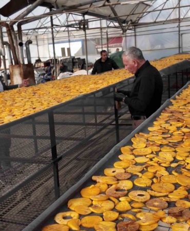 Honaz’ın meşhur cennet hurması bu kez cips olarak damakları şenlendirecek