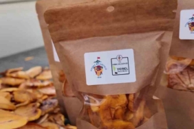 Honaz’ın meşhur cennet hurmasının cips olarak sofralara yolculuğu başladı