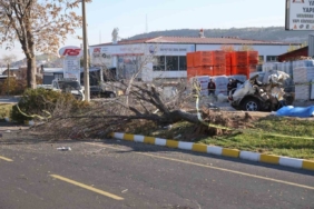 İkiye bölünen otomobil, genç arkadaşlara mezar oldu