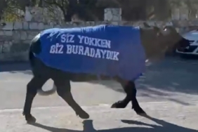 İzmir’de mandalı protesto: Okul sahibinden dikkat çeken tepki