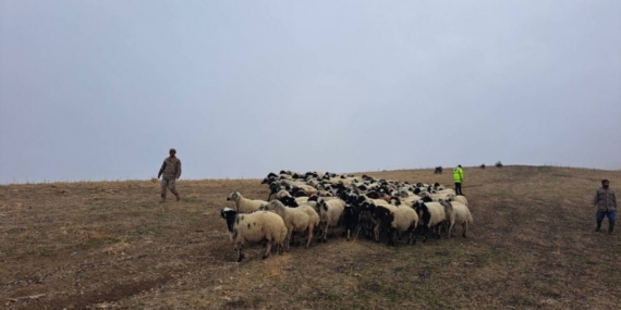Jandarma arazide kaybolan küçükbaş hayvanları bularak sahibine teslim etti