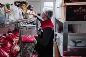 Karacasu’da gıda güvenliği denetimleri artırıldı