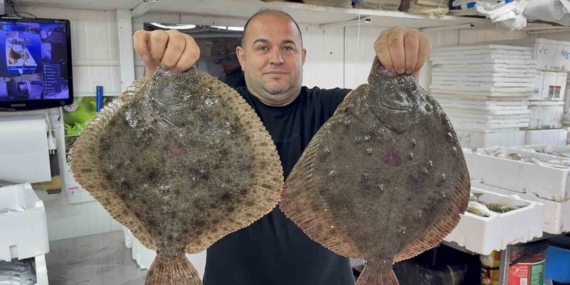 Karadeniz’de hamsi bereketi diğer balık türlerini de canlandırdı