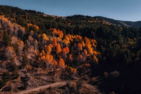 Karagöl Tabiat Parkı’nda sonbahar, renkli görüntüler oluşturdu