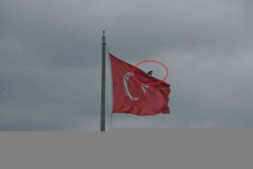 Karganın Türk bayrağı inadı