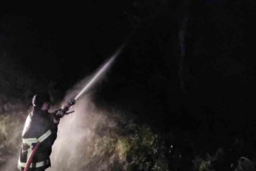 Kastamonu’da çıkan orman yangını söndürüldü