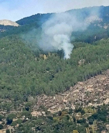 Kavaklıdere’de orman yangını