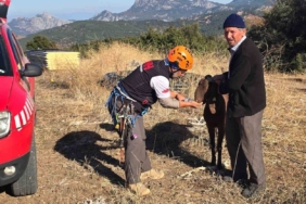 Kaya oyuğuna düşen ve 3 gün mahsur kalan keçi, film gibi operasyonla kurtarıldı