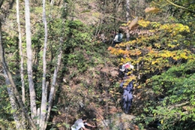 Kayıp annenin cesedini kuzgunu takip eden vatandaşlar bulmuş