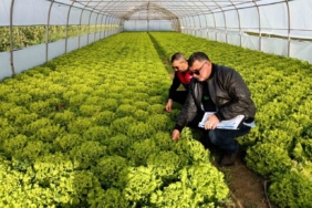 Kırklareli’nde sera denetimleri