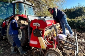 Kırklareli’nde yerli ve milli yulaf çeşitleri yaygınlaştırılacak