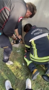 Konteyner ile duvar arasına sıkışan yavru kedi kurtarıldı