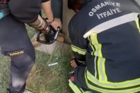 Konteyner ile duvar arasına sıkışan yavru kedi kurtarıldı