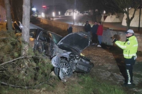 Kontrolden çıkan otomobil, direk ve ağaçlara çarptı: 1 yaralı