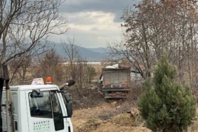 Kontrolden çıkan tır bariyerlere ve elektrik direğine çarparak tarlaya savruldu: 1 yaralı