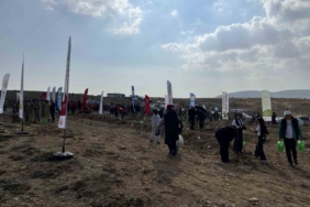 Konya’da 33 bin 811 fidan toprakla buluştu