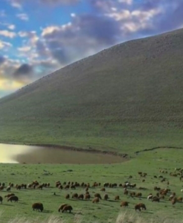 Köy muhtarının merayı kiraya vermesiyle ilgili soruşturma başlatıldı