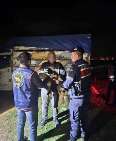 Küçükbaş hayvan çalan 4 kişiyi JASAT yakaladı