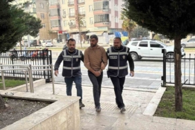 Kullandığı tırın dorsesinde 11 kaçak göçmen bulunan sürücü tutuklandı