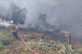 Kumlu’da bahçe yangını