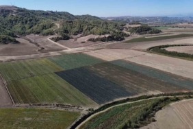 Kuraklığın vurduğu Seyhan Baraj Gölü’nün çevresi tarım arazisi oldu üretim başladı