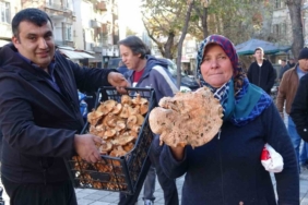 Kütahya’da melki mantarı çoğaldı, fiyatlar düştü
