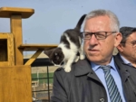 Makamında kedi besleyen Başkan Arslan, hayvan dostu projeleriyle de örnek oluyor