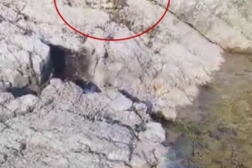 Malatya’da amatör balıkçı ile kedi arasındaki diyalog gülümsetti