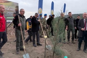 Manisa’da 2025 sonuna kadar 3,1 milyon fidan toprakla buluşacak