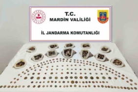 Mardin’de "Anadolu Mirası" operasyonunda 4 bin 897 sikke ele geçirildi