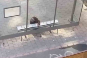 Mardin’de duyarlı vatandaş, yolcular üşümesin diye durağın oturma yerlerini halıyla kapladı