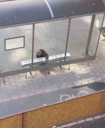 Mardin’de duyarlı vatandaş, yolcular üşümesin diye durağın oturma yerlerini halıyla kapladı