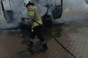 Mardin’de kamyonette çıkan yangın söndürüldü
