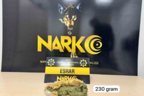 Mardin’de uyuşturucu operasyonunda 2 şüpheli yakalandı