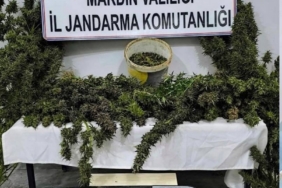 Mardin’de uyuşturucu operasyonunda 3 tutuklama