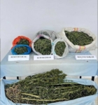 Mardin’de uyuşturucu operasyonunda 3 tutuklama