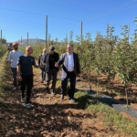 Menteşe Ziraat Odası Başkanı Baştuğ, Şenyayla’da elma üreticilerinin sorunlarını dinledi